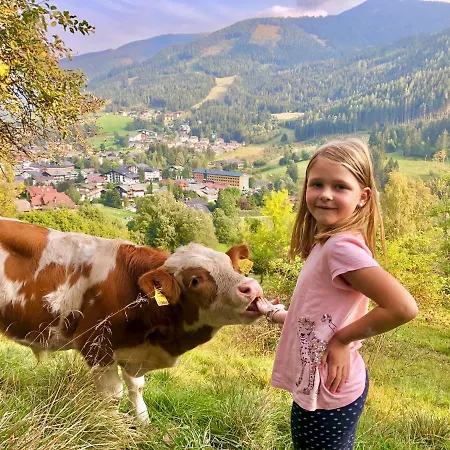 Apartament Feichterhof