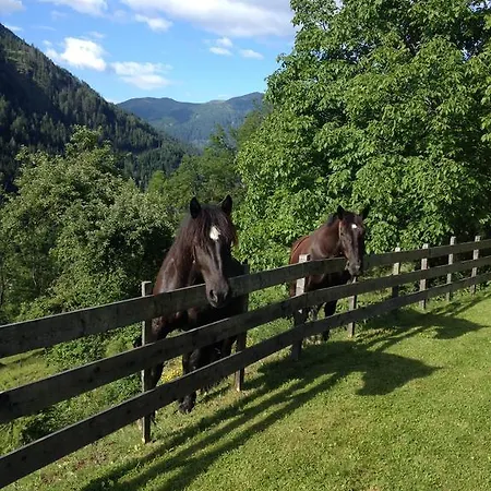 Feichterhof Apartament Bad Kleinkirchheim