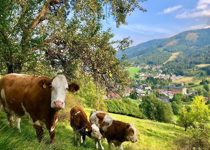 Apartment Feichterhof Bad Kleinkirchheim