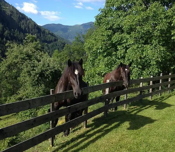 Feichterhof Апартаменты Бад Кляйнкирххайм