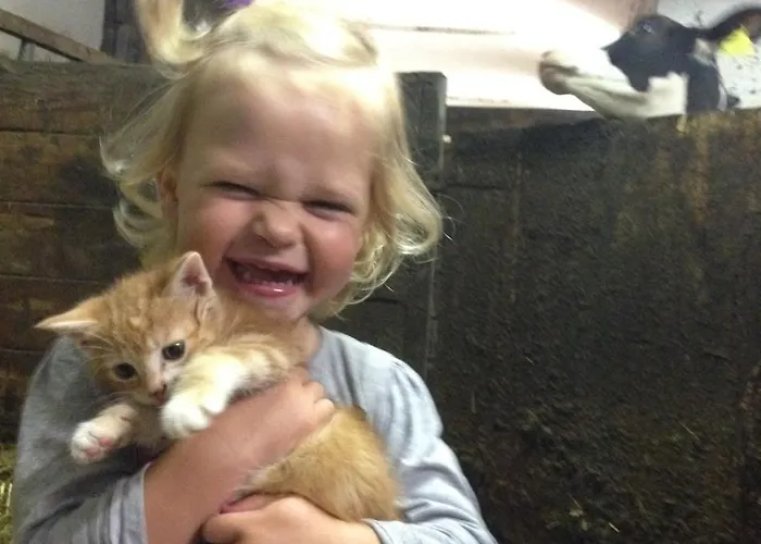 Feichterhof Apartment