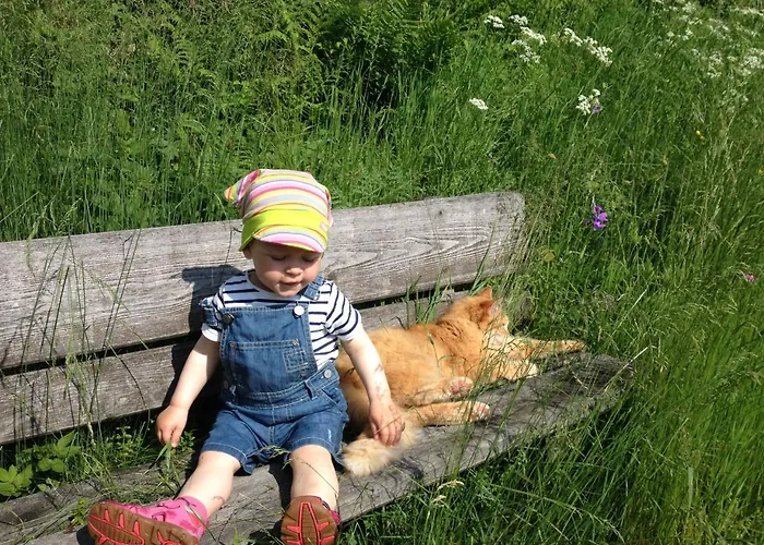 Feichterhof Апартаменты Бад Кляйнкирххайм